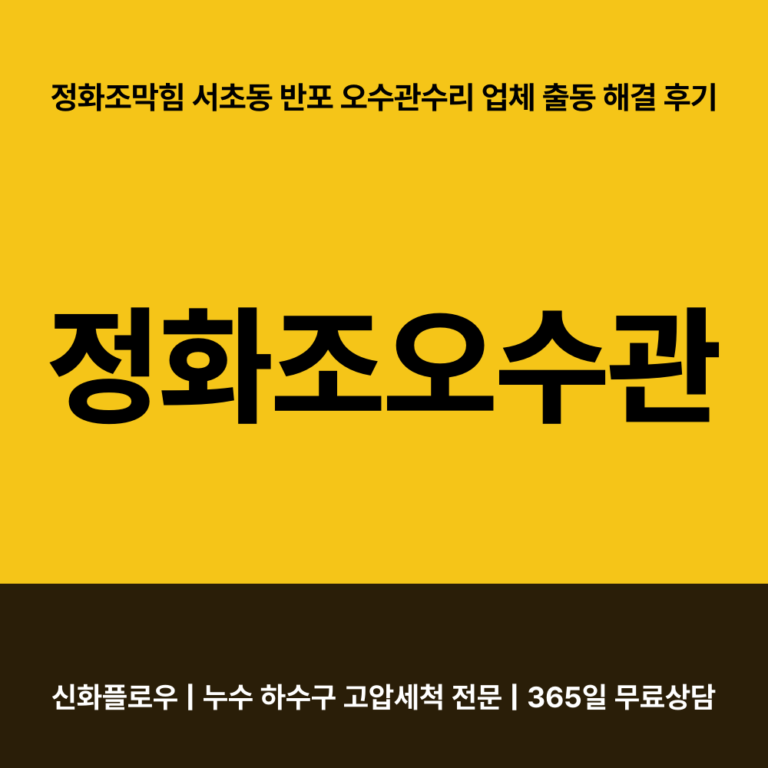 서초구 반포 정화조오수관 대표 이미지