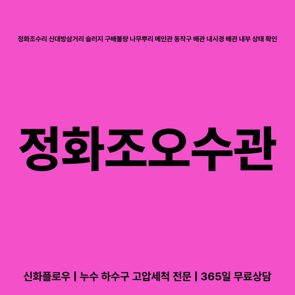 동작구 대방 정화조오수관 작업 현장
