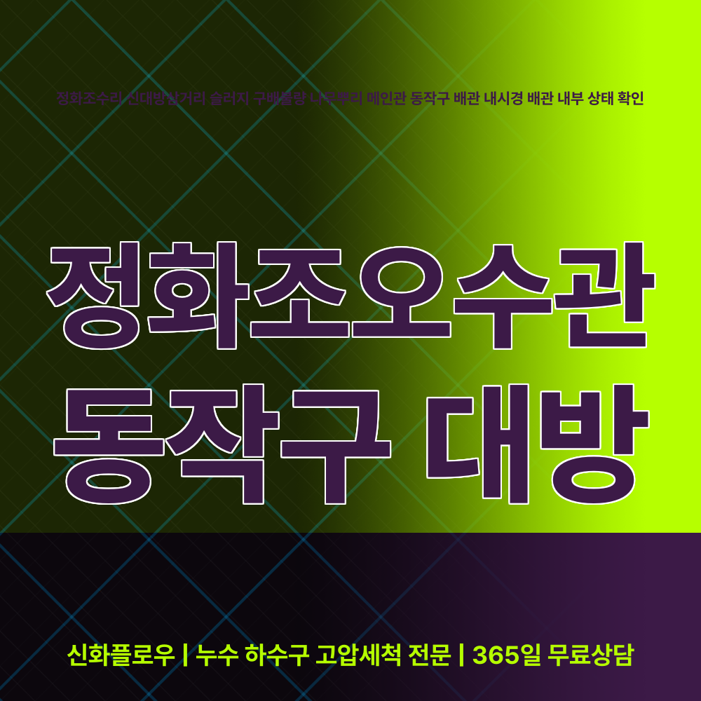 동작구 대방 정화조오수관 대표 이미지