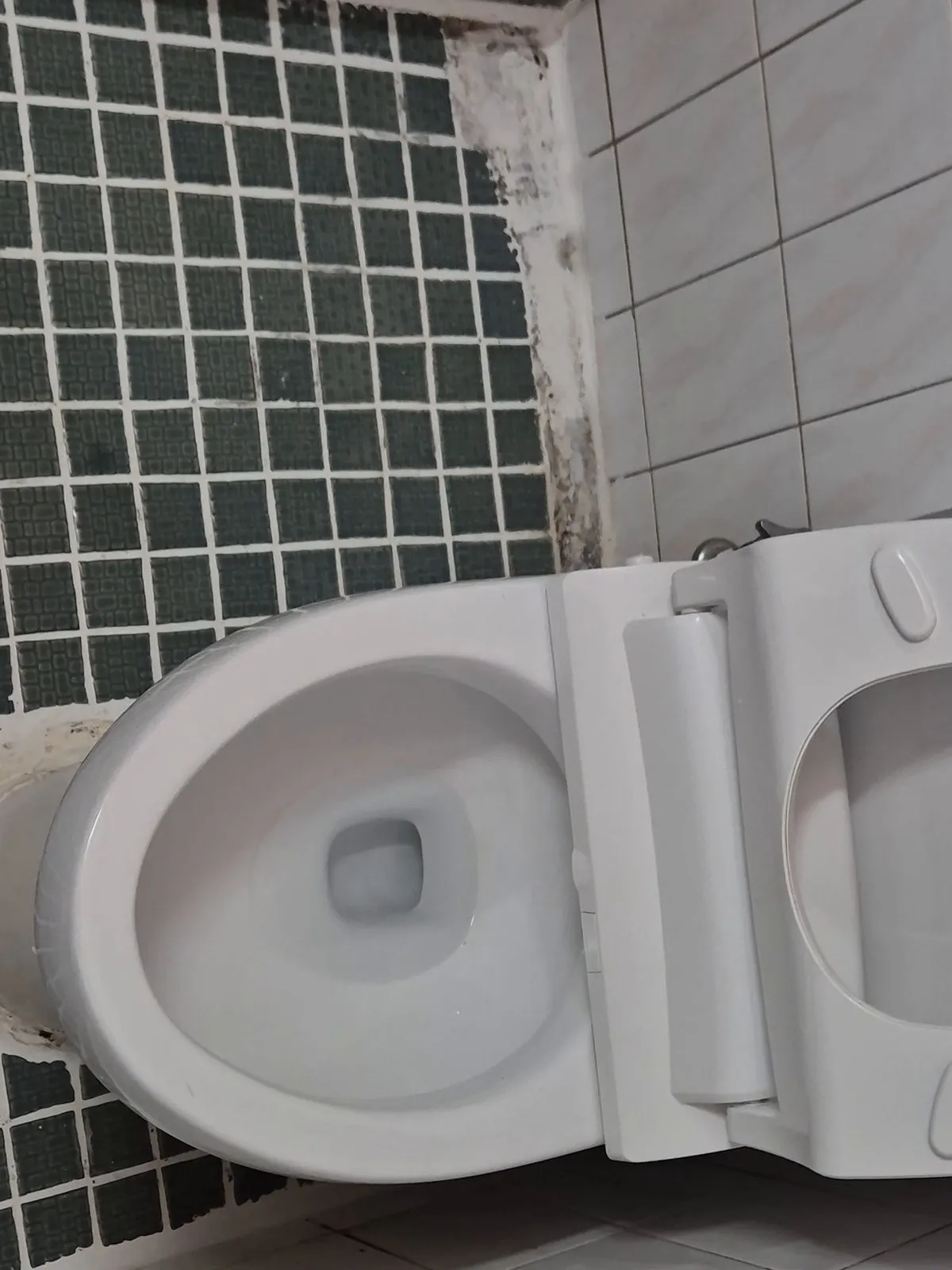 동작구 대방 변기막힘 원인 점검