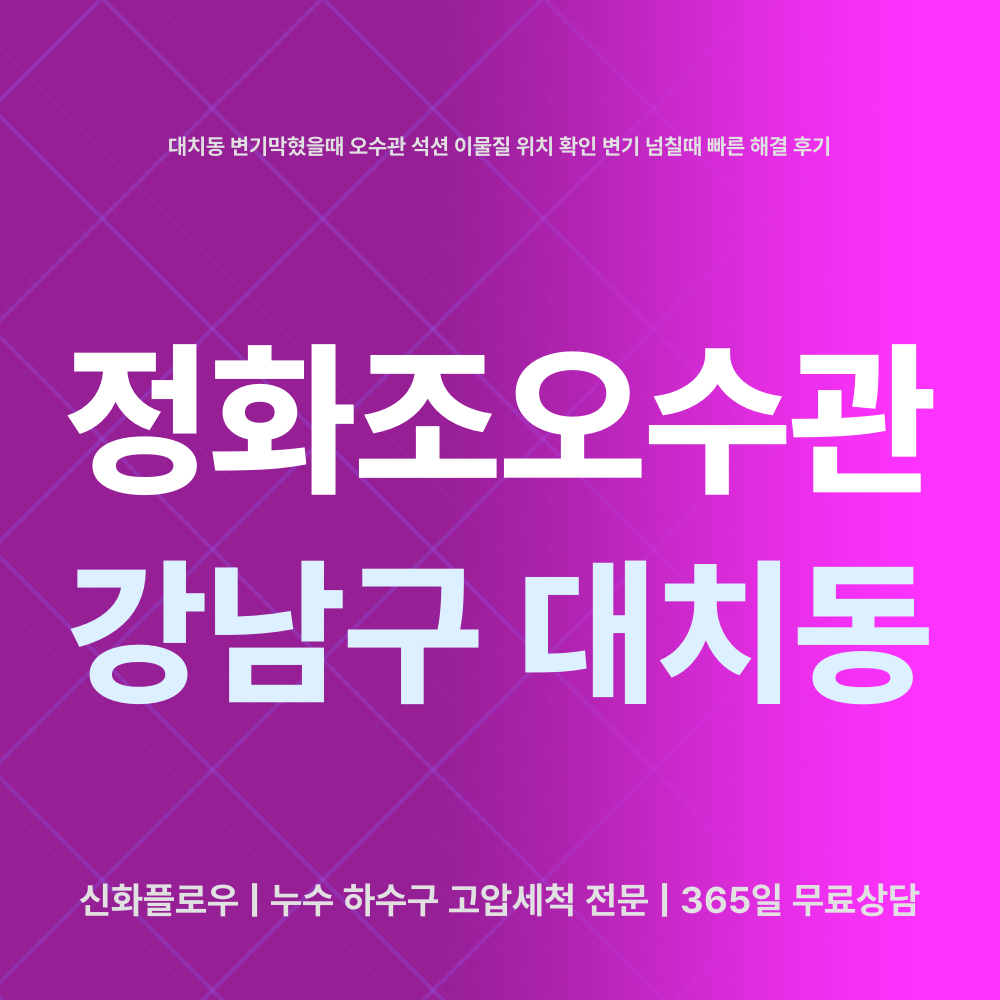 강남구 대치동 정화조오수관 대표 이미지