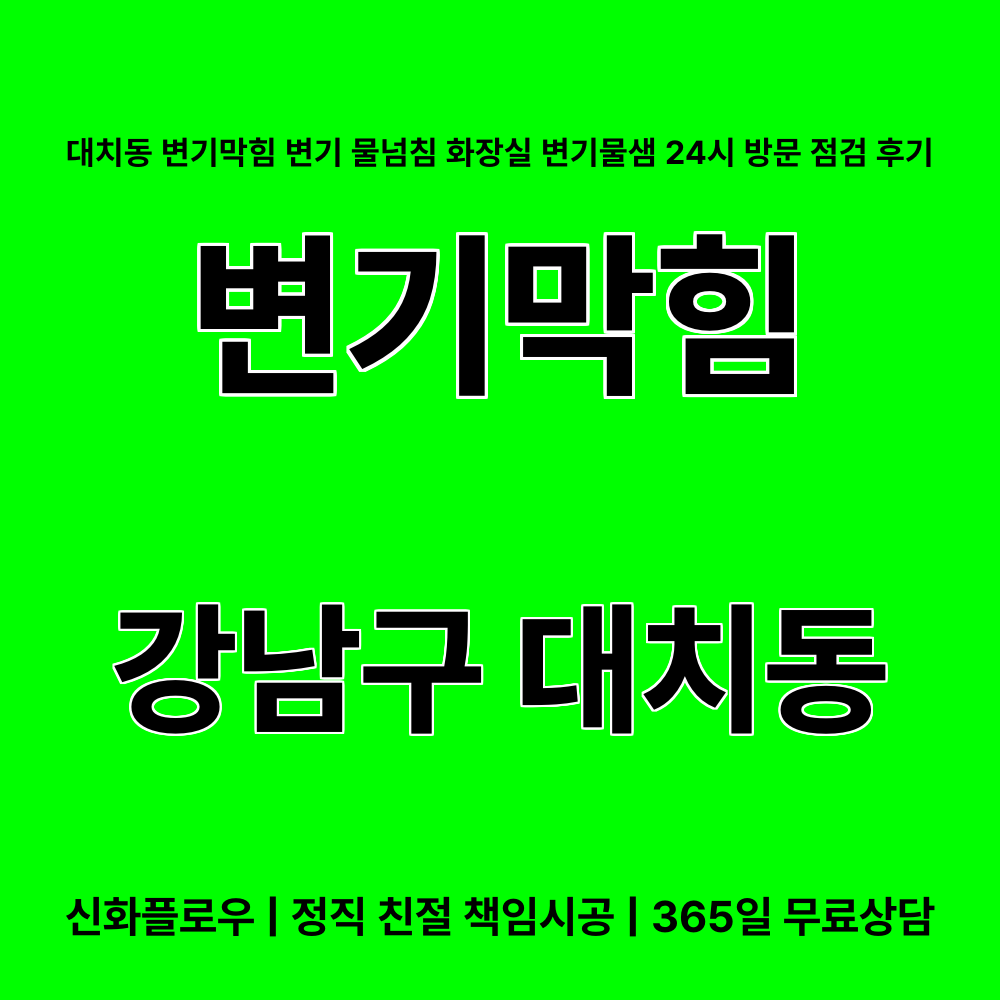 강남구 대치동 변기막힘 작업 과정
