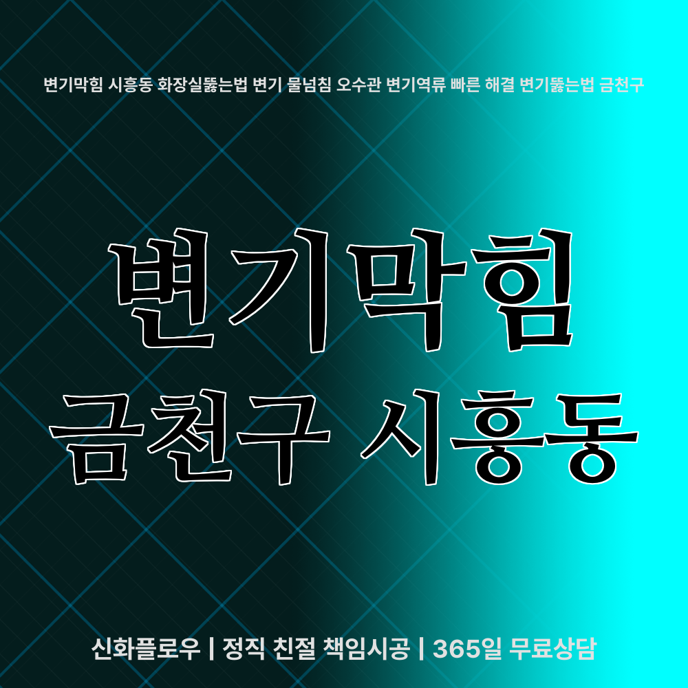 금천구 시흥동 변기막힘 대표 이미지