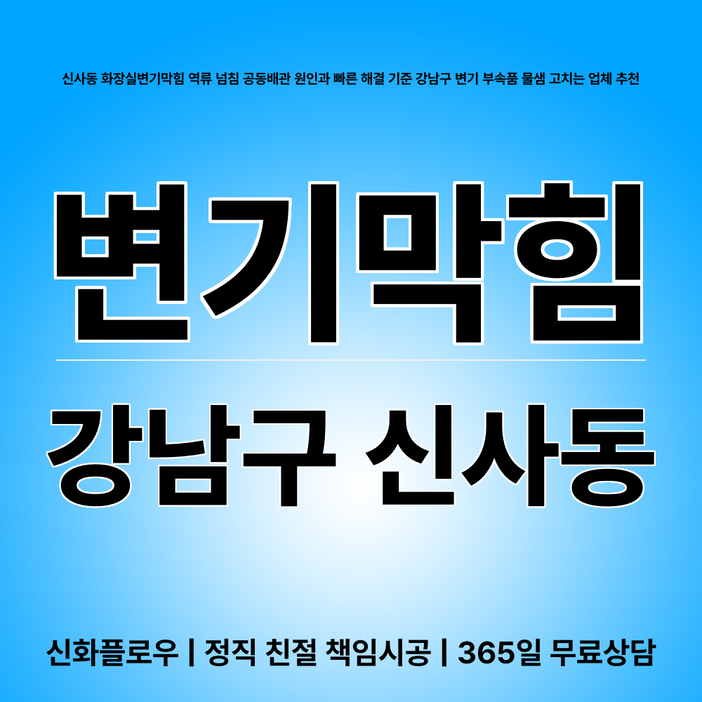 강남구 신사동 변기막힘 작업 과정