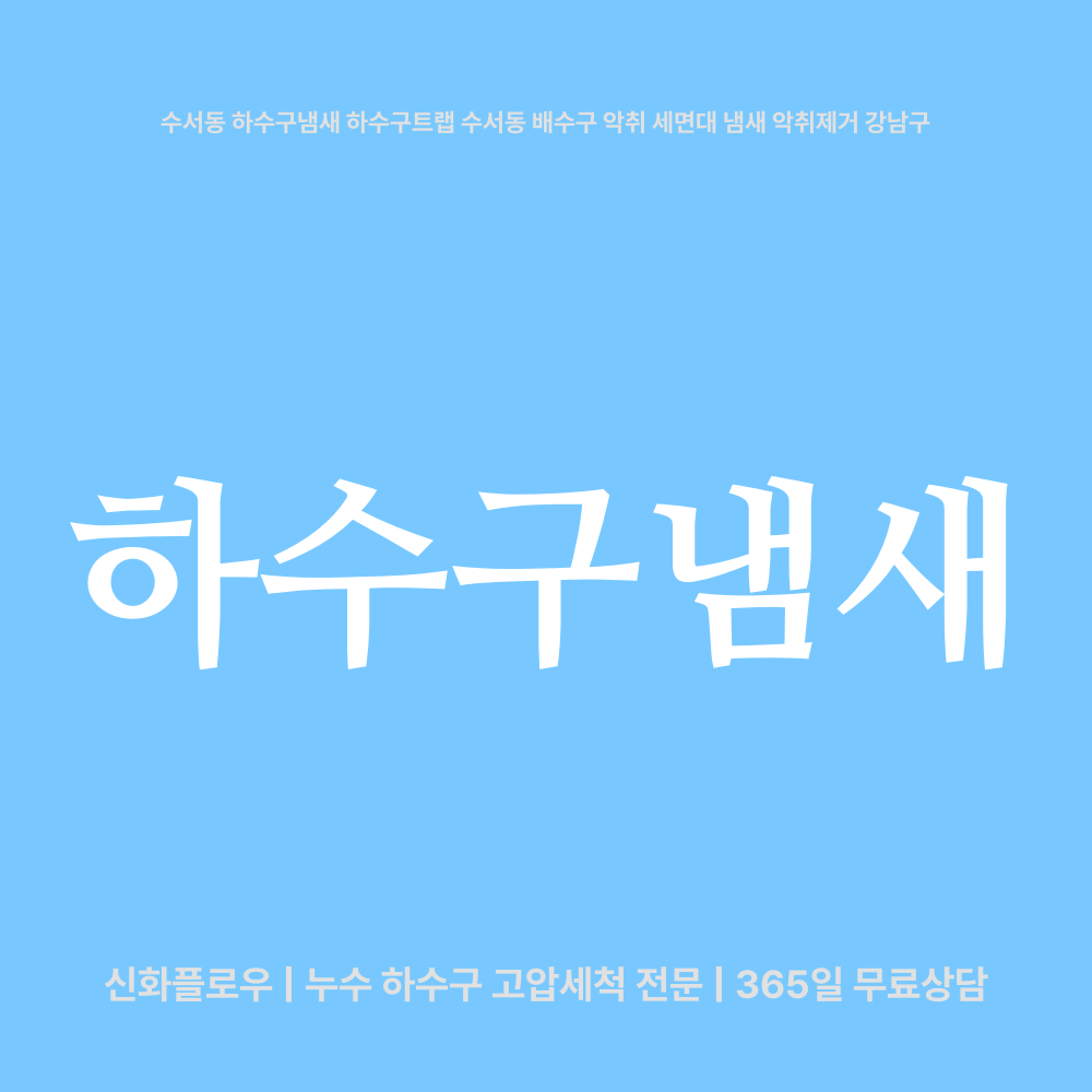 강남구 수서동 하수구냄새 대표 이미지