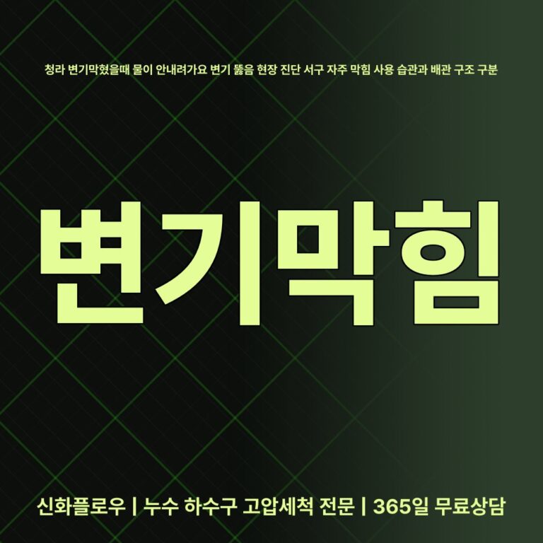 서구 청라 변기막힘 대표 이미지