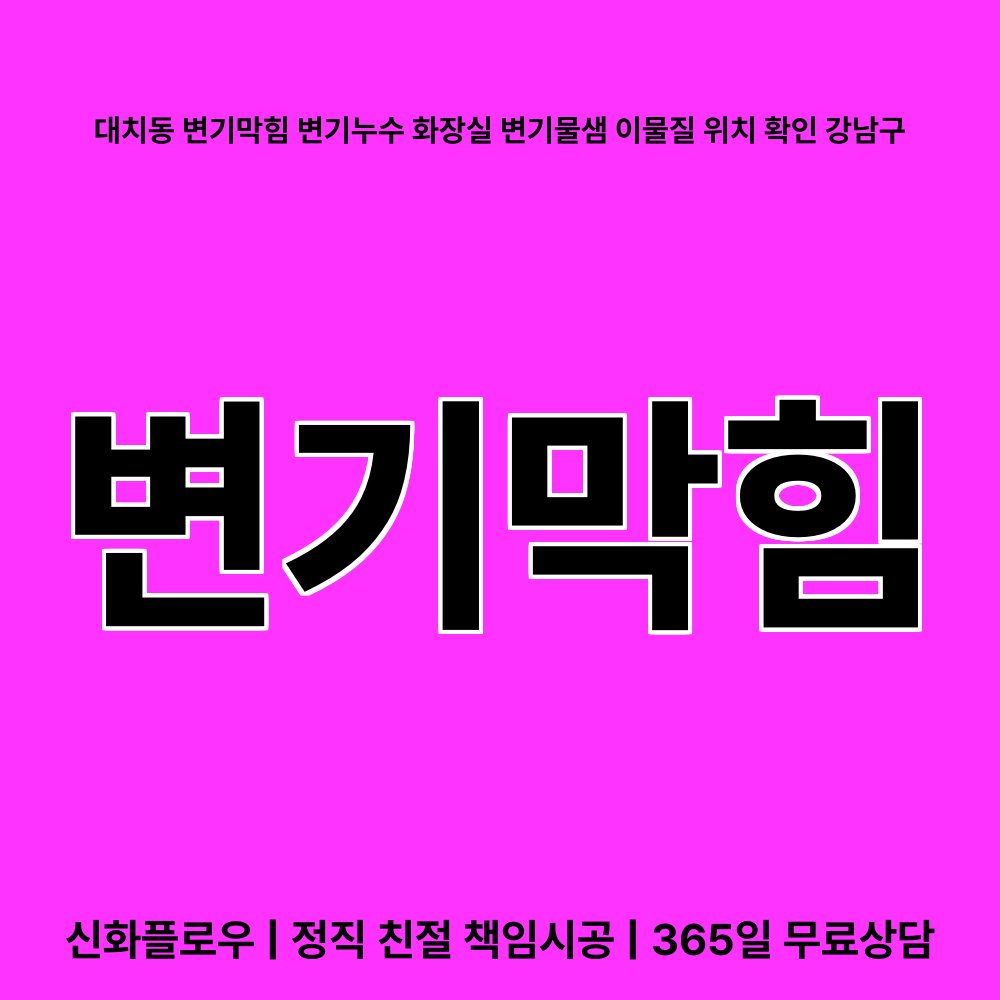 강남구 대치동 변기막힘 대표 이미지