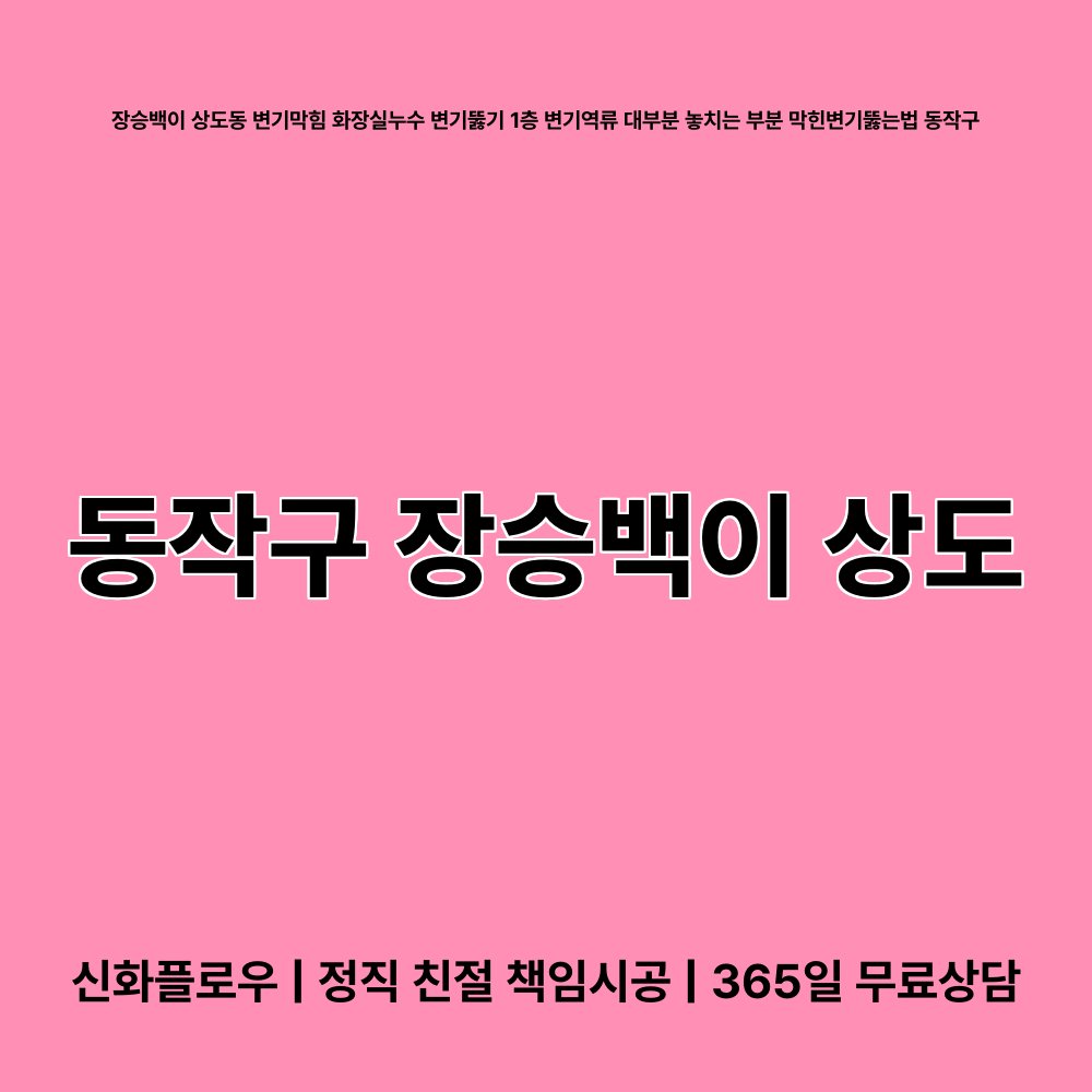 동작구 장승백이 상도 변기막힘 원인 점검