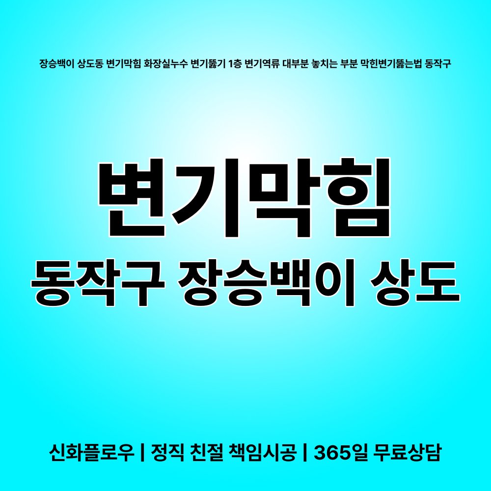 동작구 변기막힘 현장 해결