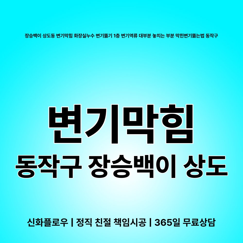 동작구 장승백이 상도 변기막힘 대표 이미지