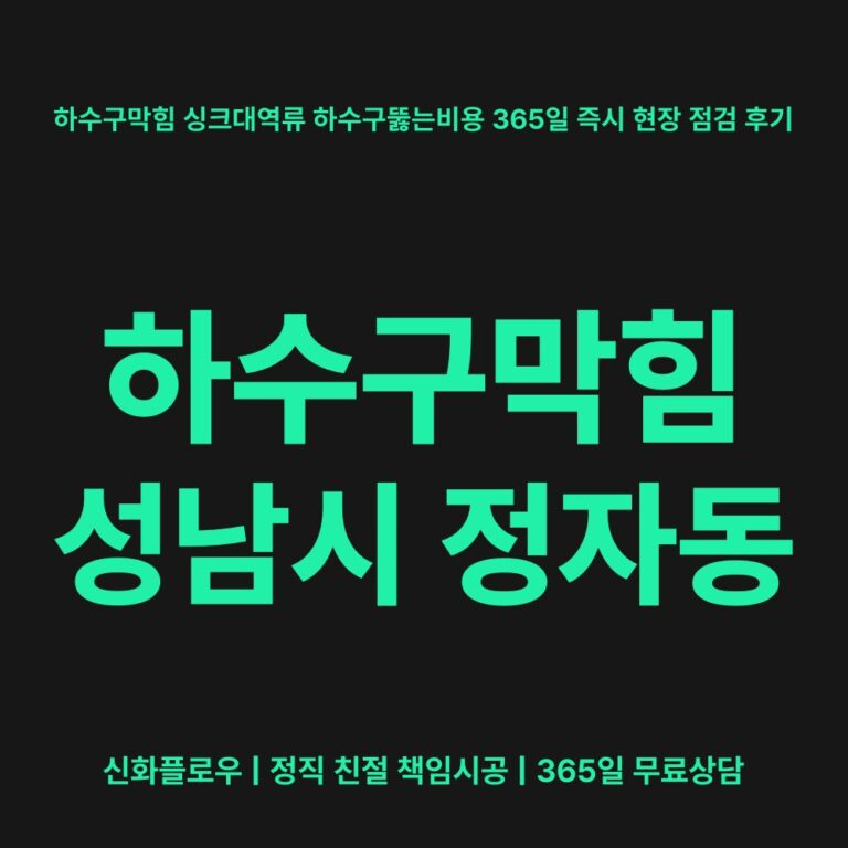 성남시 정자동 하수구막힘 대표 이미지