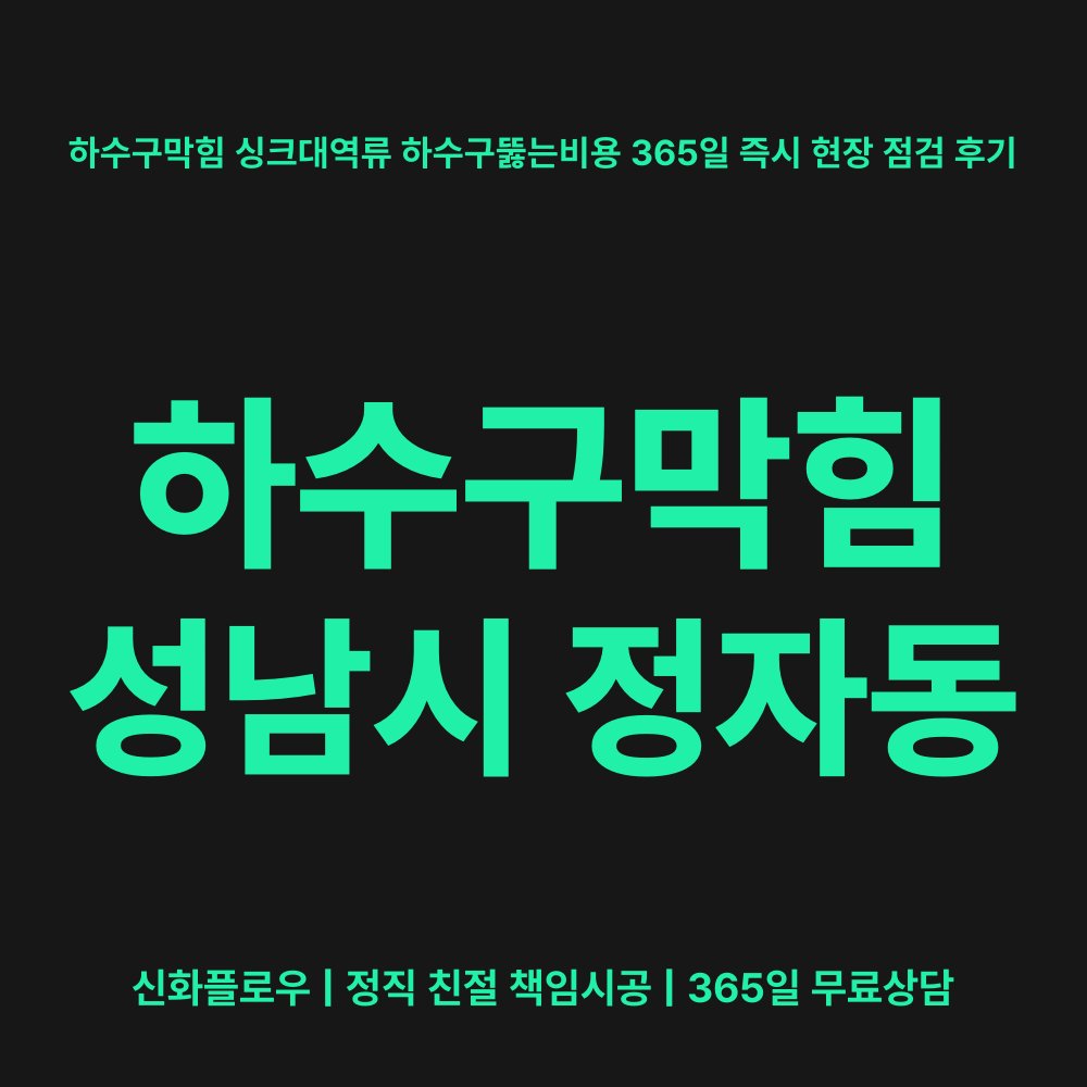 성남시 정자동 하수구막힘 대표 이미지