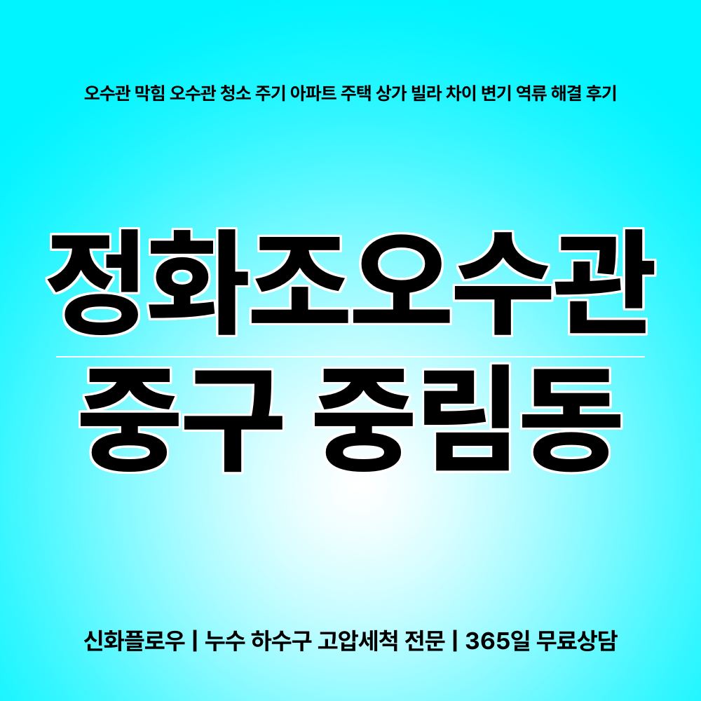 중구 중림동 정화조오수관 원인 점검