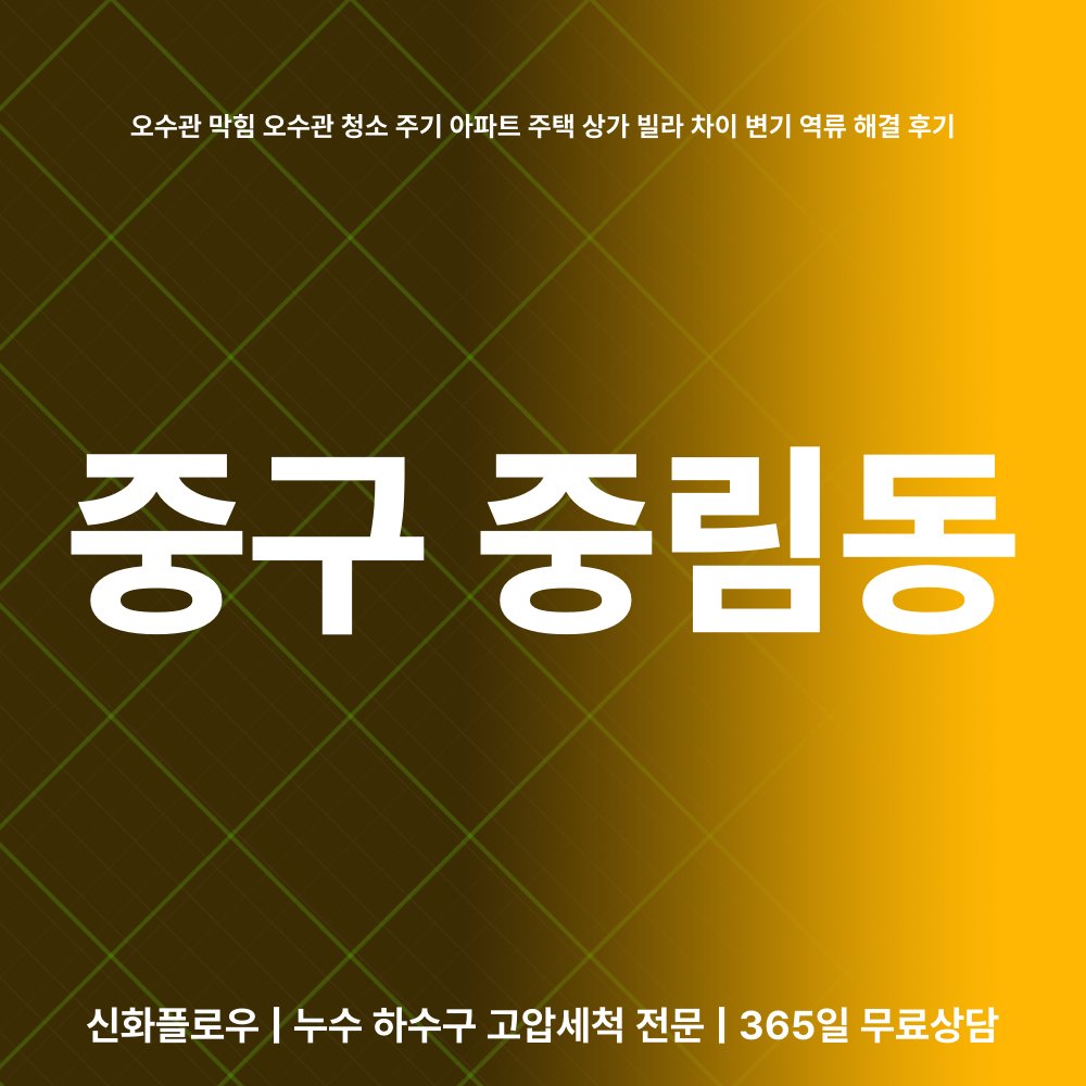중구 중림동 정화조오수관 대표 이미지