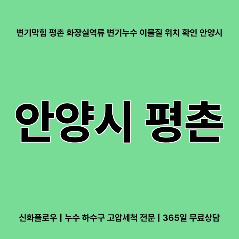 안양시 평촌 변기막힘 대표 이미지