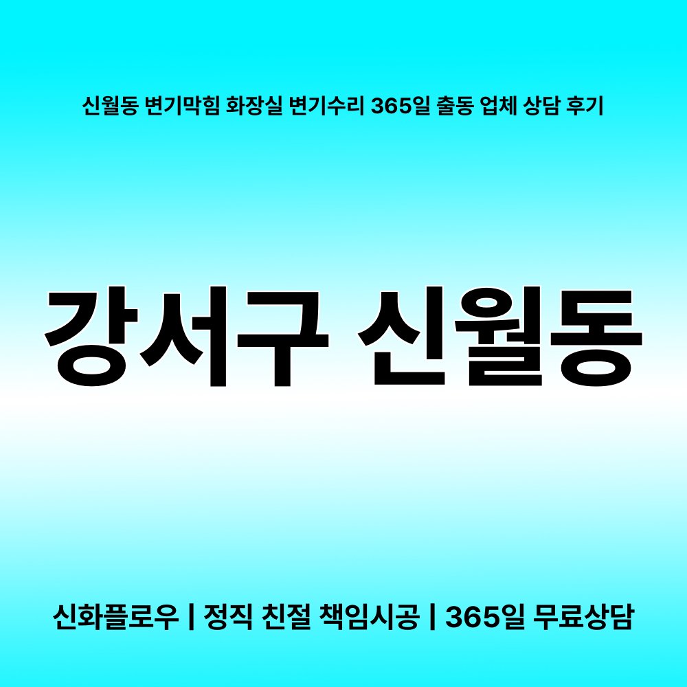 강서구 신월동 변기막힘 원인 점검