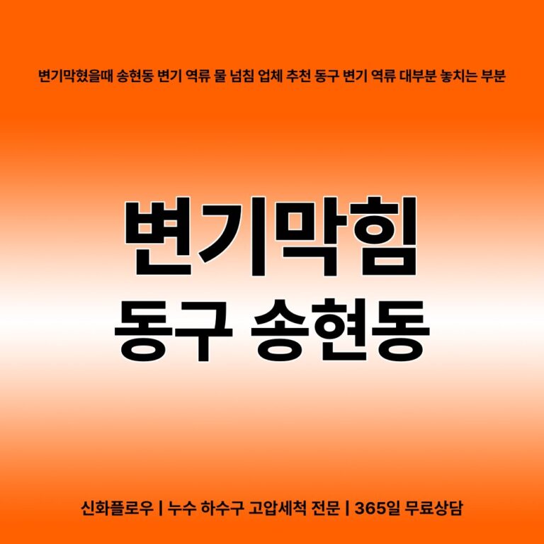 동구 송현동 변기막힘 대표 이미지