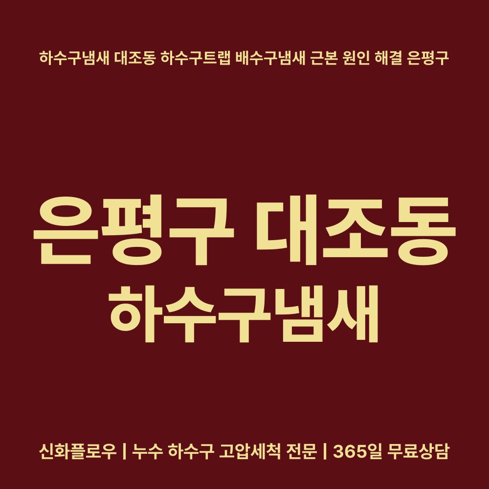 은평구 하수구냄새 현장 해결