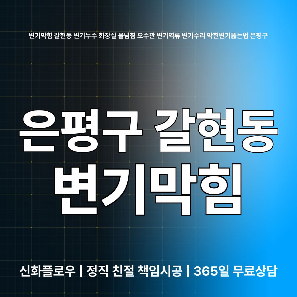 은평구 갈현동 변기막힘 원인 점검