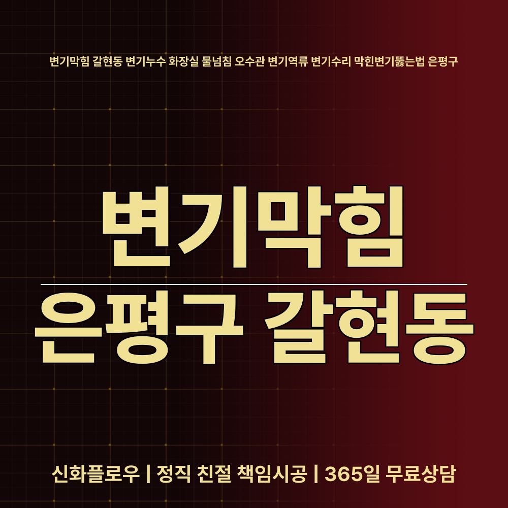 은평구 변기막힘 현장 해결