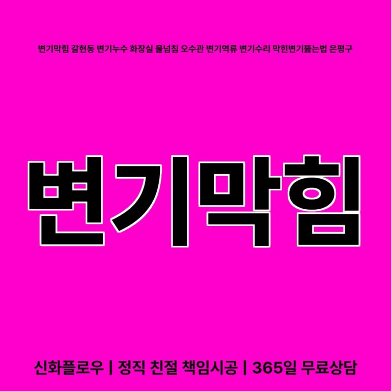 은평구 갈현동 변기막힘 대표 이미지