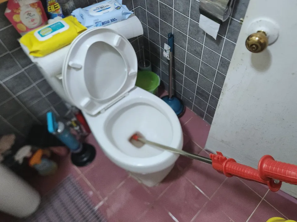 변기 이물질 막힘 위치 내시경
